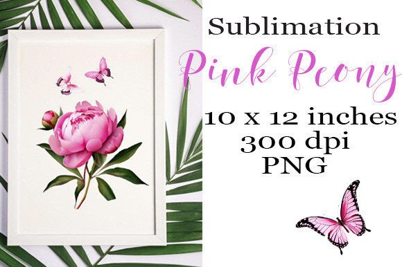 Sublimation Pink Peony PNG
