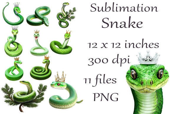 Sublimation Watercolor Snakes PNG: Elevating Your Creative Projects with Symbolic Elegance